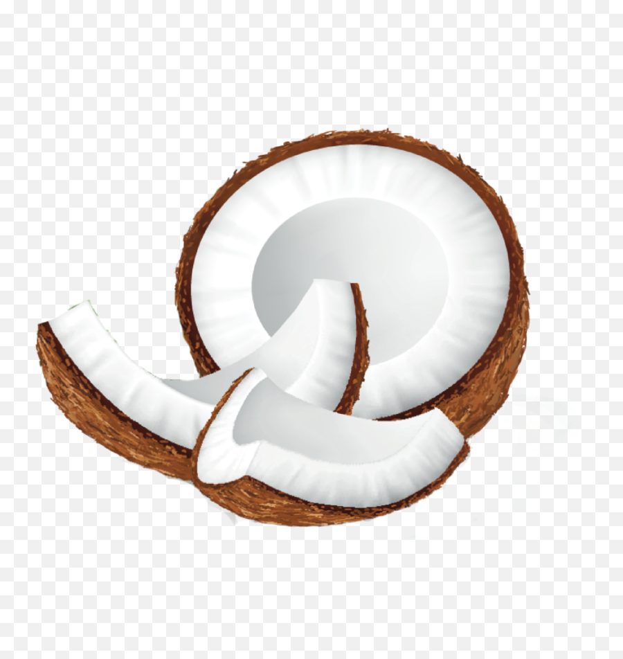 Milks U2014 Uproot - Toy Png,Coconut Png