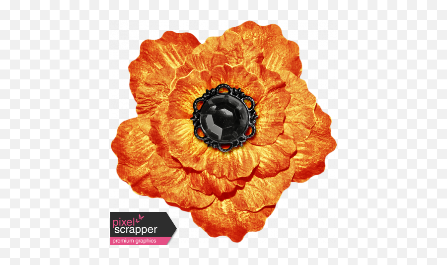 No Tricks Just Treats - Orange And Black Vintage Flower English Marigold Png,Vintage Flowers Png