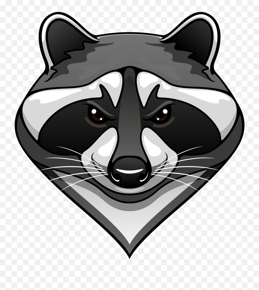 Frontend Raccoon - Imagenes De Mapaches En Caricatura Png,Raccoon Png