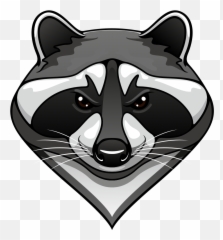 Frontend Raccoon - Imagenes De Mapaches En Caricatura Png,Raccoon Png