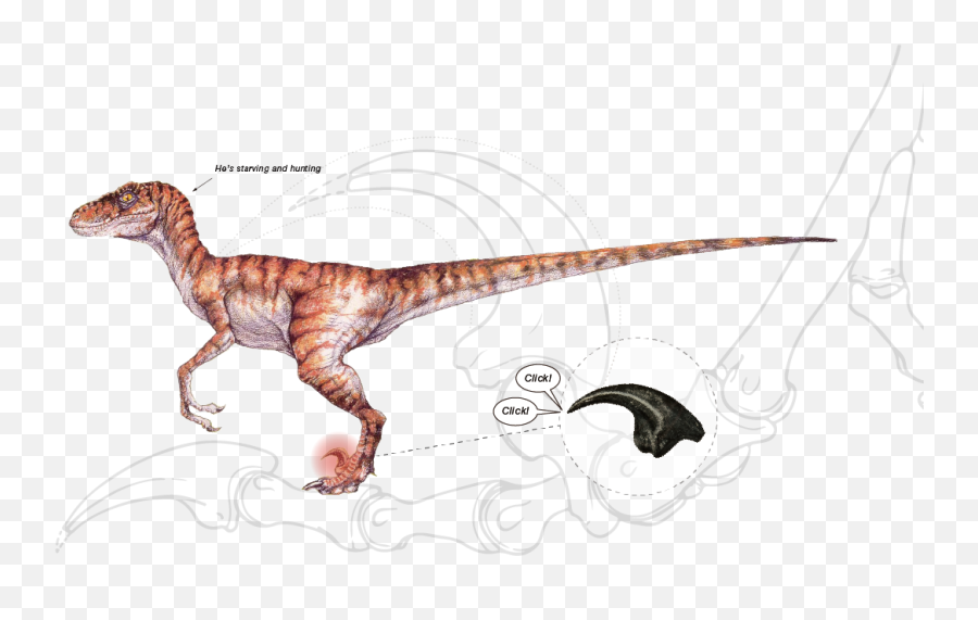 Raptor - Lost World Jurassic Park Velociraptor Png,Velociraptor Png