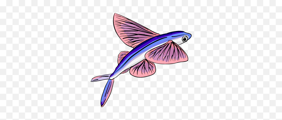 Flying Fish - Flying Fish Png,Fish Png Transparent