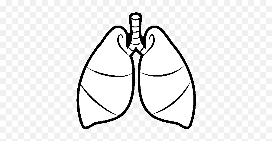 Download Hd Lungs Coloring Page - Dibujo De Un Pulmon Aparato Respiratorio  Animado Para Colorear Png,Lungs Png - free transparent png images -  