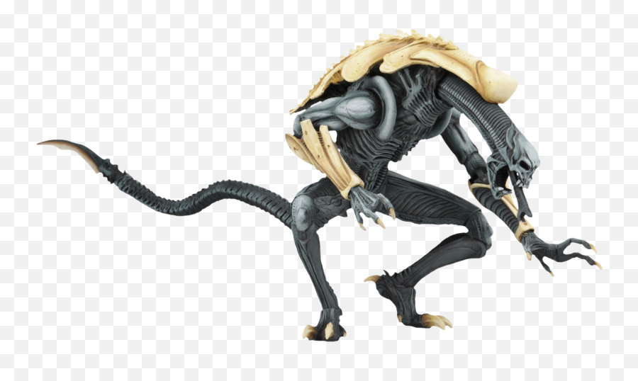 Download Alien - Aliens Vs Predator Arcade Figures Png,Alien Vs Predator Logo
