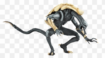 Download Alien - Aliens Vs Predator Arcade Figures Png,Alien Vs Predator Logo