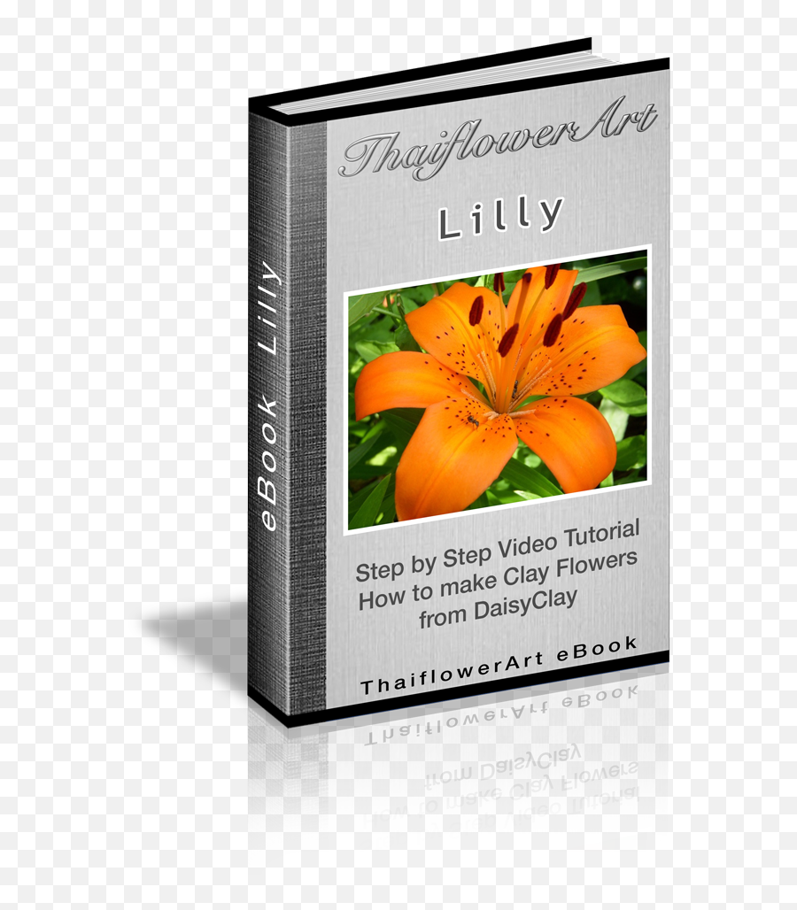 Ebook Lilly Png
