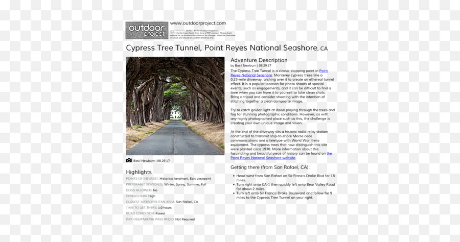Cypress Tree Tunnel Outdoor Project - Tree Png,Cypress Tree Png