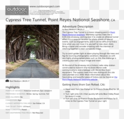 Cypress Tree Tunnel Outdoor Project - Tree Png,Cypress Tree Png