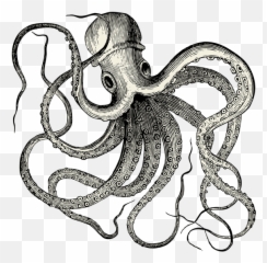 Vintate Octopus Tattoo Transparent Png - Stickpng Octopus Tattoo Png,Octopus Png