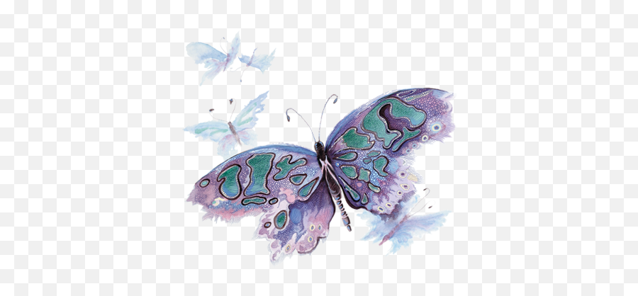 Butterfly - Butterfly Png,Watercolor Butterfly Png