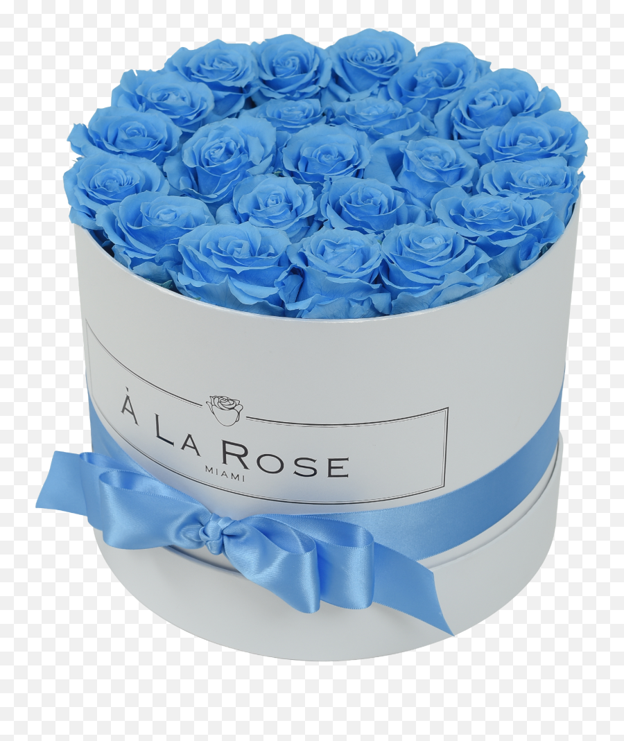 Orbdeluxe - Blue Rose Png,Hydrangea Png