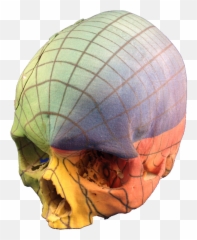 Index Of - Skull Png,3d Skull Png