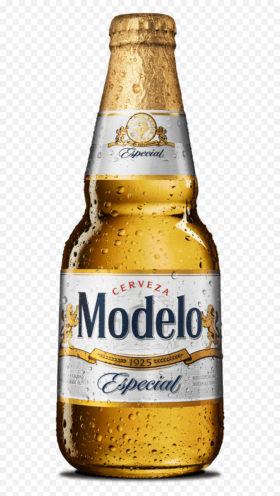 Index Of - Modelo Especial Png,Modelo Beer Png