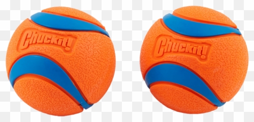 7 Best Dog Toys For Small Breeds - Ultra Ball Png,Dog Toy Png