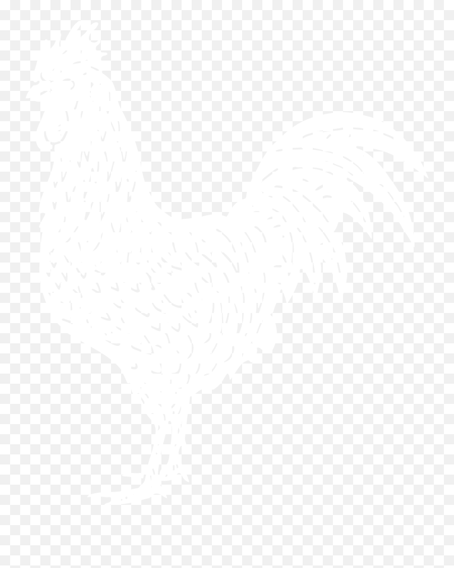 Rooster Abby Lorenz - Rooster Png,Rooster Png