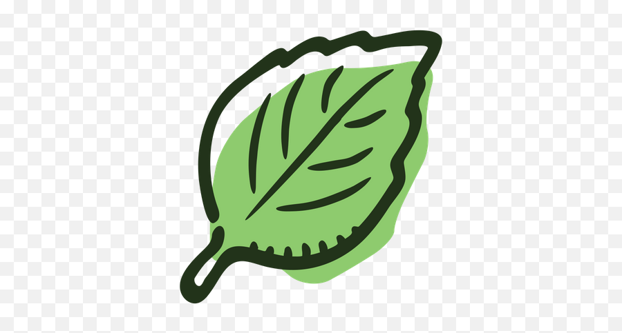 Basil Leaf Icon Of Colored Outline - Basil Leaves Icon Png,Leaf Icon Png