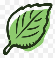 Basil Leaf Icon Of Colored Outline - Basil Leaves Icon Png,Leaf Icon Png