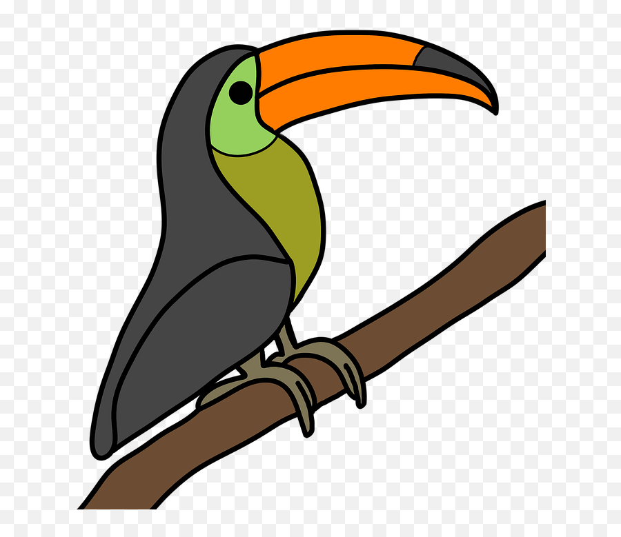 Gods Creation Toucan Bird - Toucan Png,Toucan Png