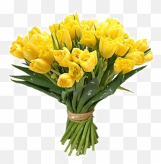 Bouquet Flowers Png