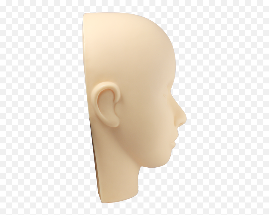 Download Hd Mannequin Head - Hair Loss Png,Mannequin Head Png