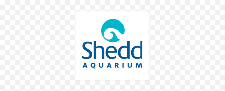 Biddingowl - St Jude School Auction Shedd Aquarium Png,A Day To Remember Logo Transparent