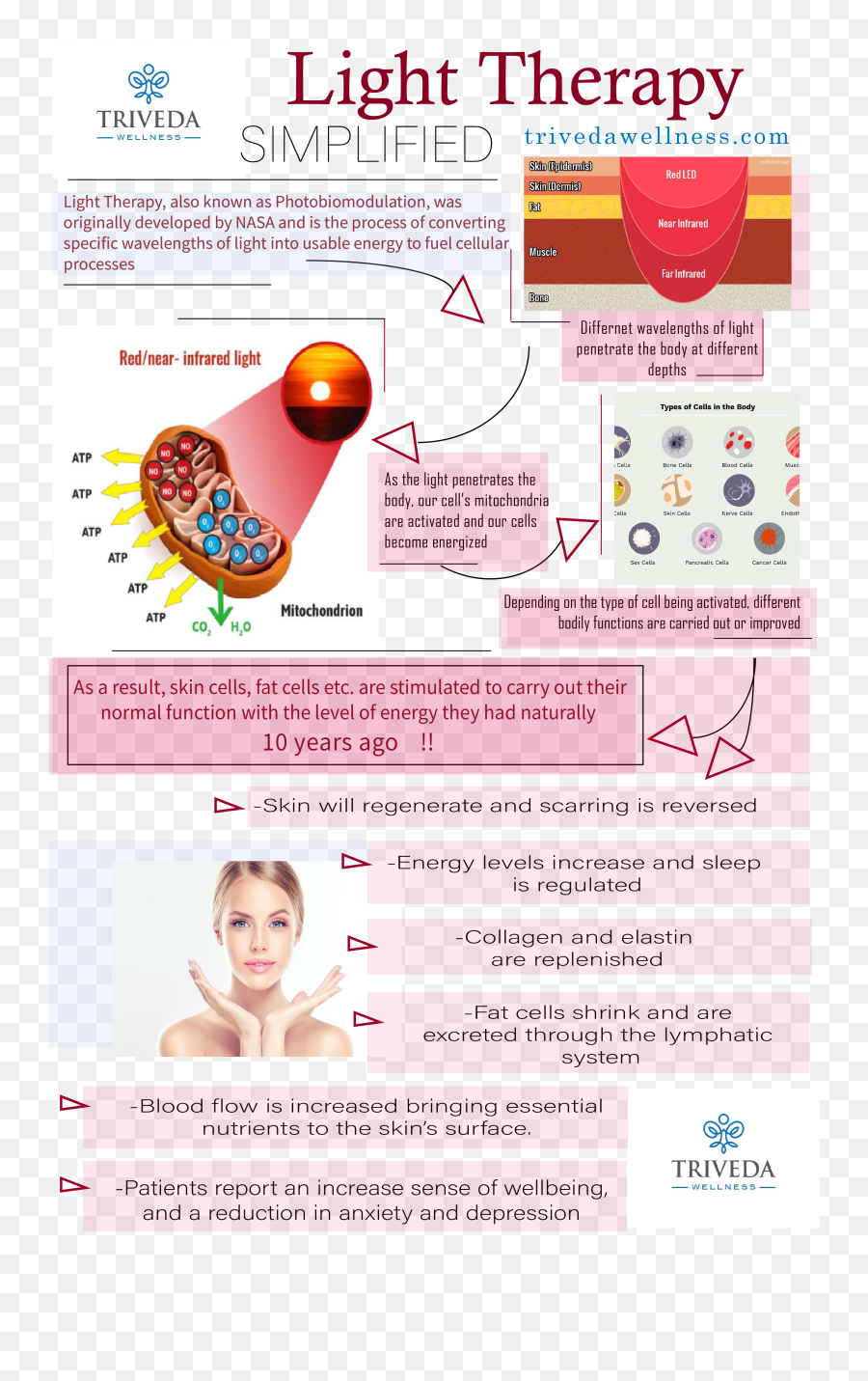 Red Light Therapy Asheville Nc Triveda Wellness - Red Light Therapy Infographic Png,Red Light Transparent