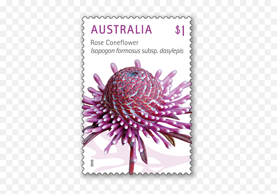 Wildflowers - Australia Post Australia Post Floral Stamps Png,Wildflowers Png