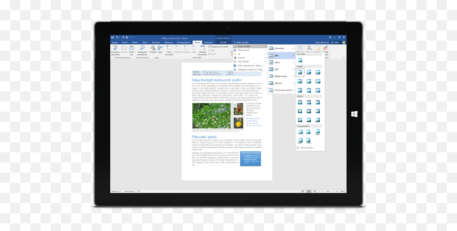 Microsoft Office Professional 2016 - Word 2016 Png,Onenote 2016 Icon