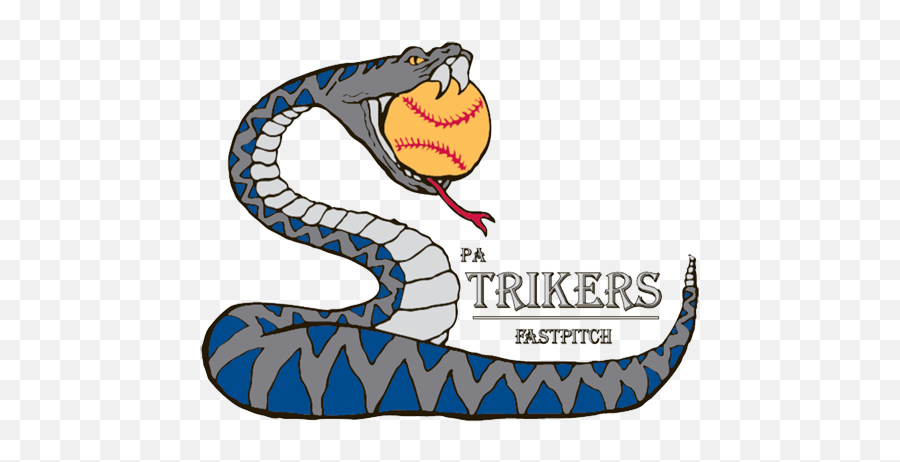 Maddy Schmeiser U2013 2021 North Carolina State Pa Strikers - Pa Strikers Softball Logo Png,North Carolina State Icon