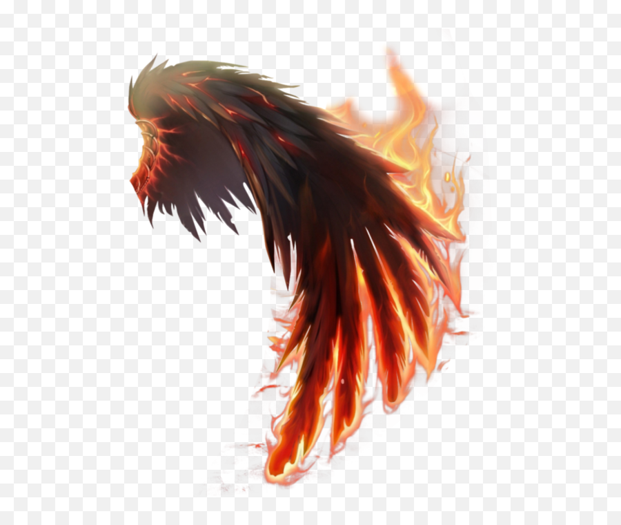 Hd Wings Png What Gif Online Images - Devil Wings Png Hd,Wings Png