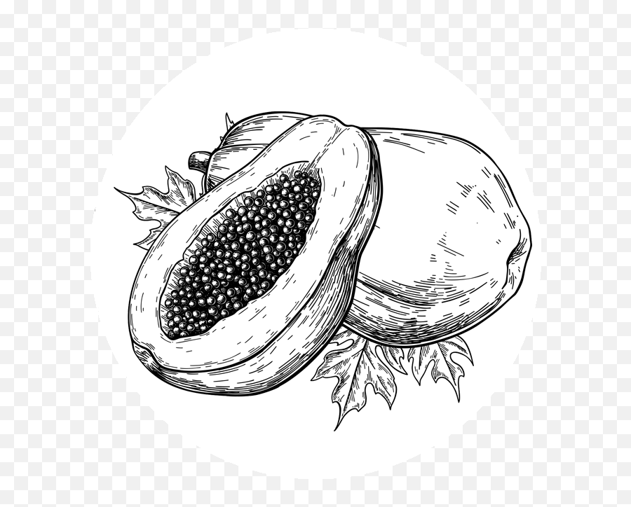 Papaya - Papaya Pieces Drawing Png,Papaya Icon