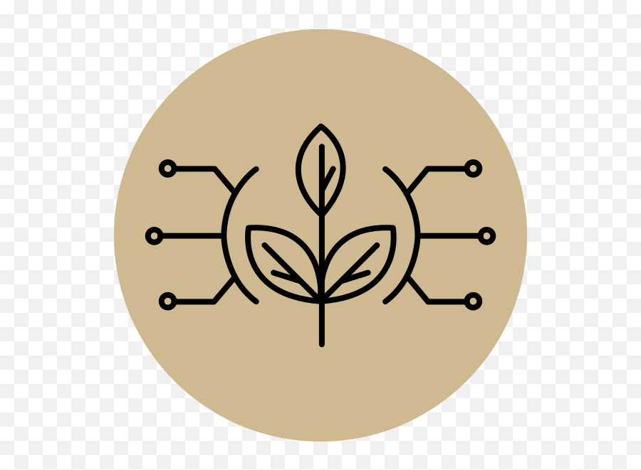2021 Purdue Spring Fest - Symbol Of Inductor Png,Purdue Blackboard Icon