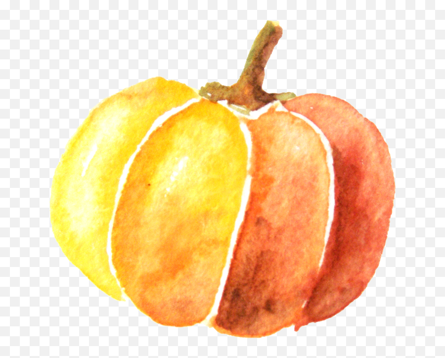 Watercolor Pumpkin Png Download - Transparent Background Watercolor Pumpkin Png,Pumpkin Png Transparent