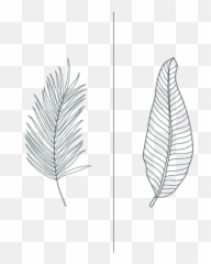 Sensorial Art Direction - Decorative png