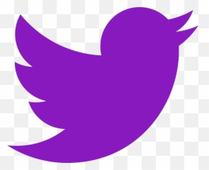 Six The Musical Wiki Fandom - Transparent Background Instagram Logo Twitter png