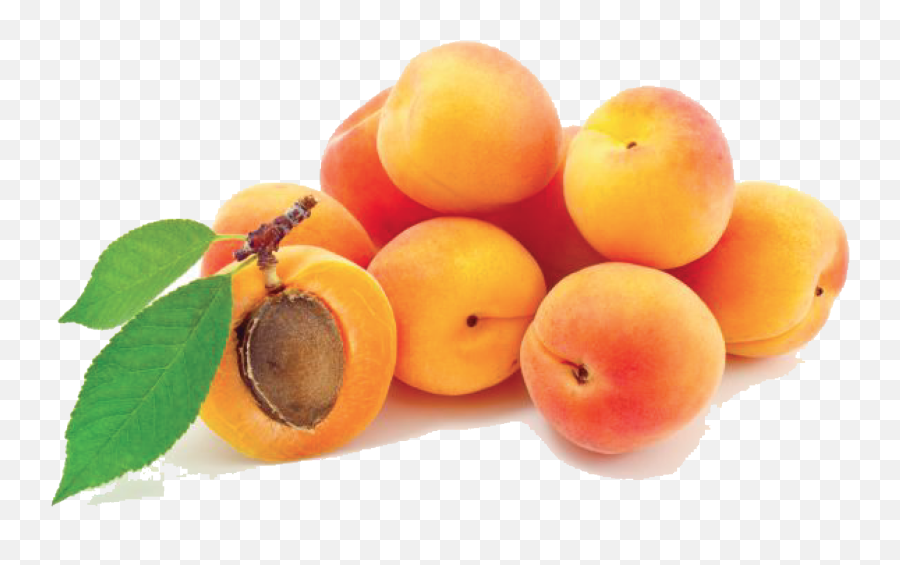 Download Free Apricot Photos Icon Favicon Freepngimg - Transparent Apricot Png,Apricot Icon