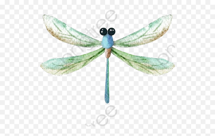 Watercolor Dragonfly Clipart 542569 - Png Clip Art Png Dragonfly Watercolor,Dragonfly Png