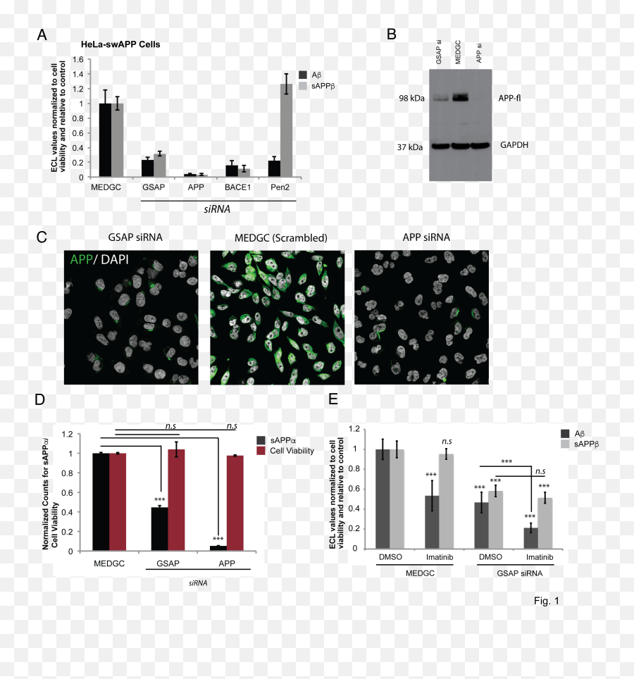 Secretase Activating Protein Gsap Does Not Specifically Diagram Png Cleavage