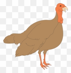 4570book Cold Turkey Clipart Png In Pack 4464 - Turkey Hen Clipart,Turkey Clipart Png