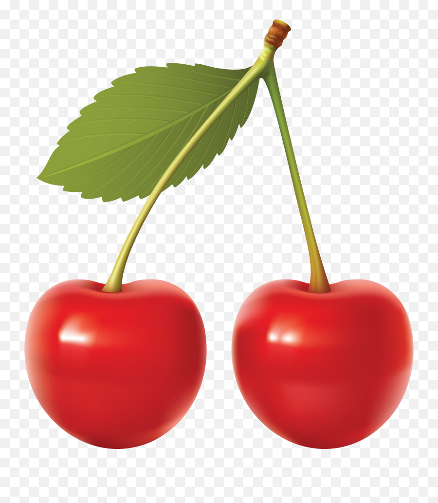 Cherries Png Image For Free Download - Cherry Png,Cherries Png
