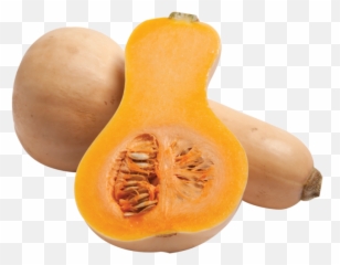 Butternut Squash Png 8 Image - Transparent Butternut Squash Clipart,Squash Png