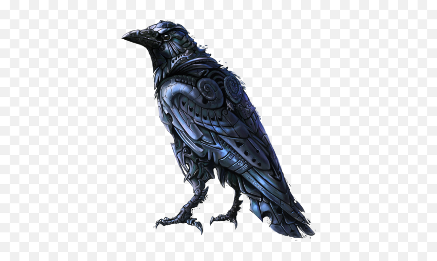 Raven Png Transparent Background Image - Raven Art,Raven Transparent