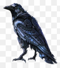 Raven Png Transparent Background Image - Art