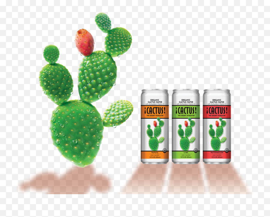 Cactus Organic Water Png Nopal