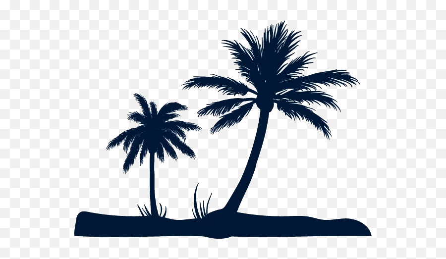 Beach Fundal Euclidean Vector - Coconut Tree Silhouette Png Coconut Tree Beach Vector,Coconuts Png