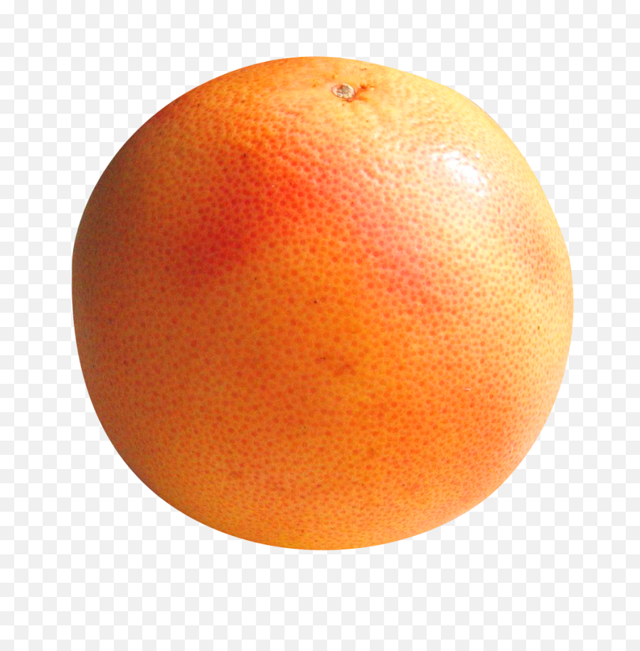 Grapefruit Png Image - Grapefruit Transparent,Grapefruit Png