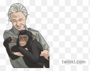 Jane Goodall And Chimpanzee Twinkl Eyes Illustration - Twinkl Cartoon Png,Chimp Png