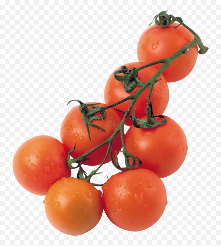 Download Free Png Tomato Image - Dlpngcom,Tomato Png