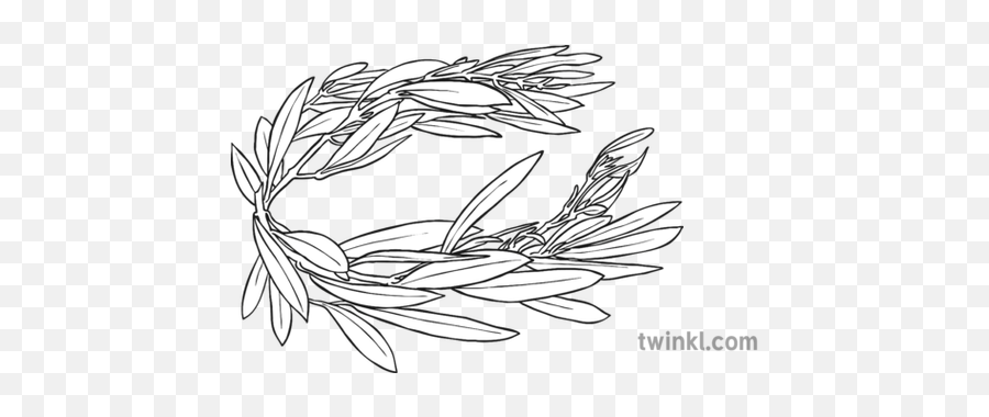 Olympic Wreath Black And White Illustration - Twinkl Sketch Png,White Wreath Png