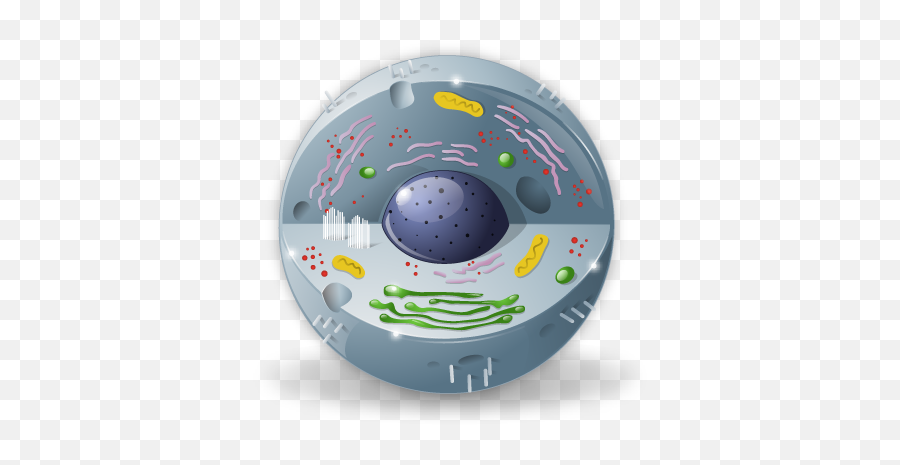 Biology Icon - Human Cell Transparent Background Png,Biology Png